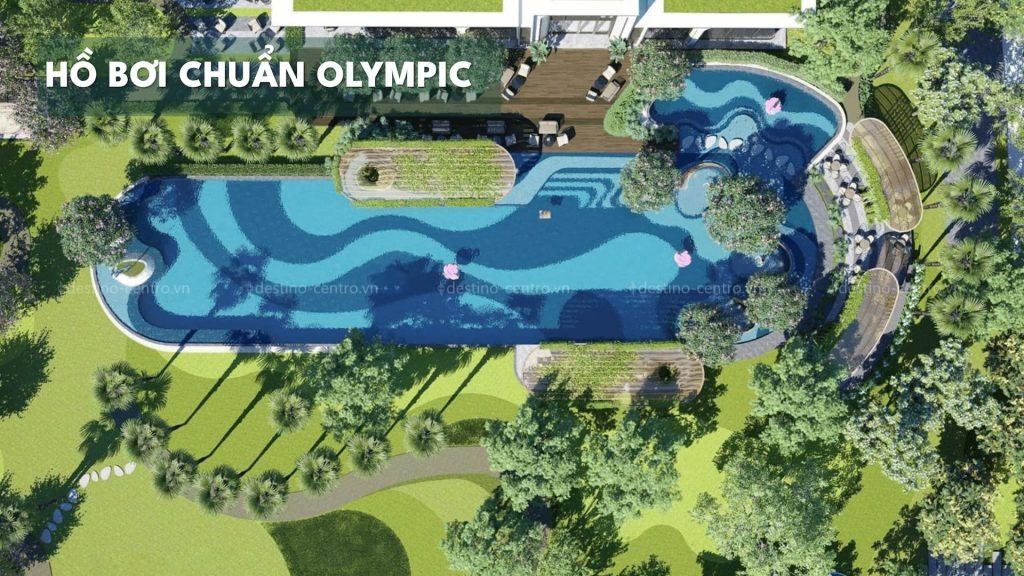 Hồ Bơi Chuẩn Olympic