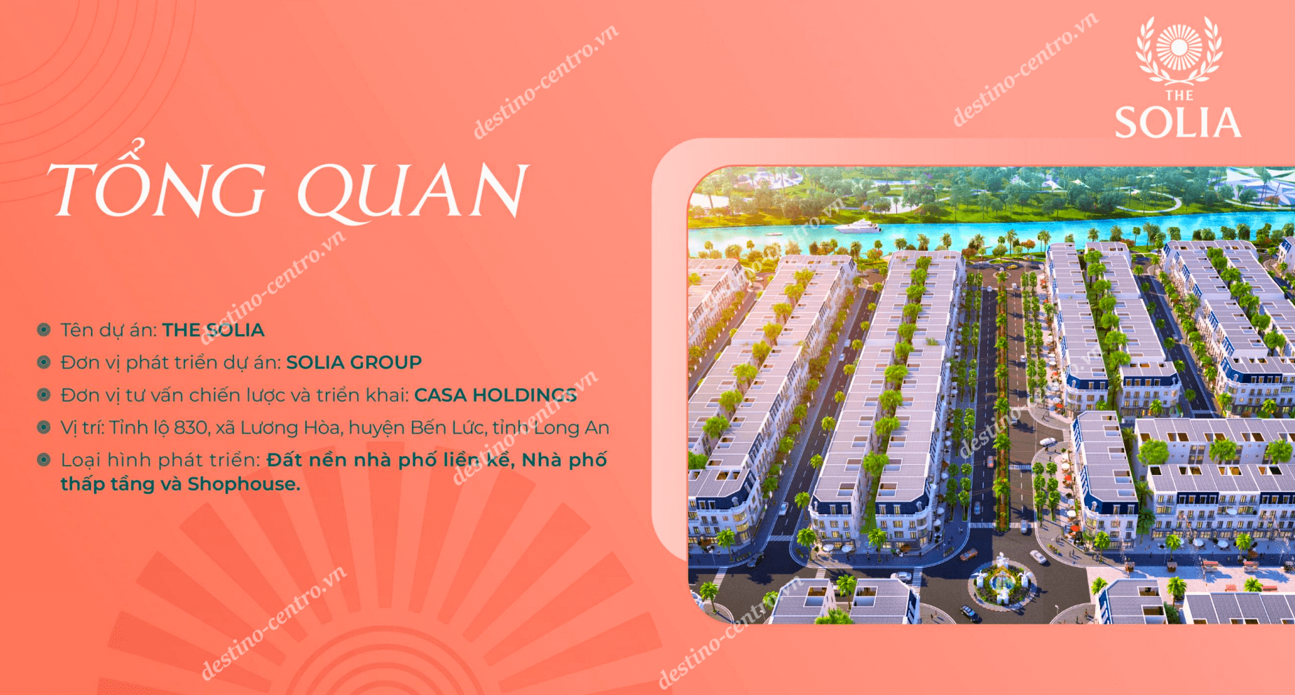 Tong-quan-the-solia